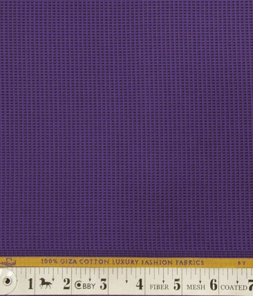 Nemesis Dark Purple 100% Giza Cotton Structured Shirt Fabric (1.60 M)