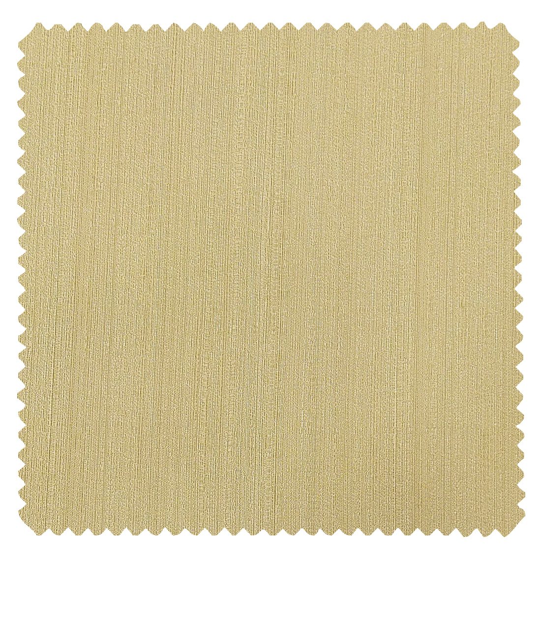 Don & Julio Men's Beige Terry Rayon Self Design Shiny Unstitched Suiting Fabric - 2 Meter