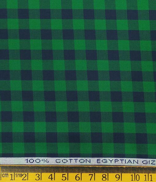 Raymond Men's 100% Egyptian Giza Cotton Blue Checks Unstitched Shirt Fabric (Green)