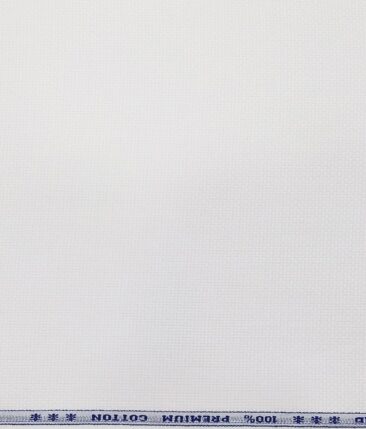 Raymond Men's Worsted Grey Pin Stripes Poly Viscose Trouser Fabric With Arving White Oxford Weave Cotton Shirt Fabric (Unstitched Combo)