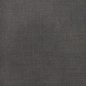 Marcellino Men's Terry Rayon Self Design Unstitched Suiting Fabric (Worsted Grey)