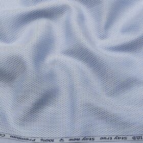 Arvind Men's Cotton Structured 1.60 Meter Unstitched Shirt Fabric (Light Blue)