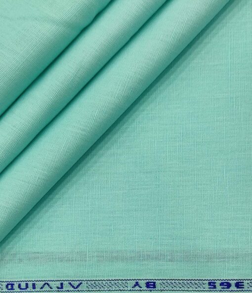 Arvind Men's Cotton Linen Self Design Unstitched Shirt Fabric (Mint Green)