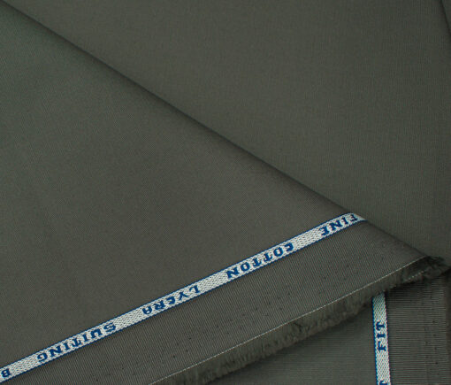 Raymond Men's Cotton Solids  Unstitched Trouser Fabric (Greenish Grey)