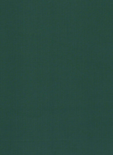 Absoluto Men's Terry Rayon Solids 3.75 Meter Unstitched Suiting Fabric (Dark Sea Green)