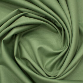 Absoluto Men's Terry Rayon Solids 3.75 Meter Unstitched Suiting Fabric (Light Green)
