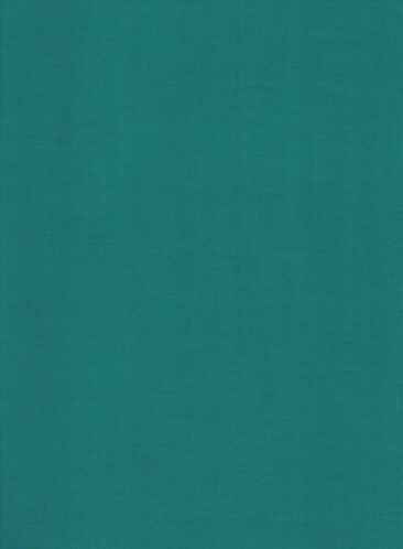 Don & Julio Men's Terry Rayon Solids 3.75 Meter Unstitched Suiting Fabric (Teal Green)