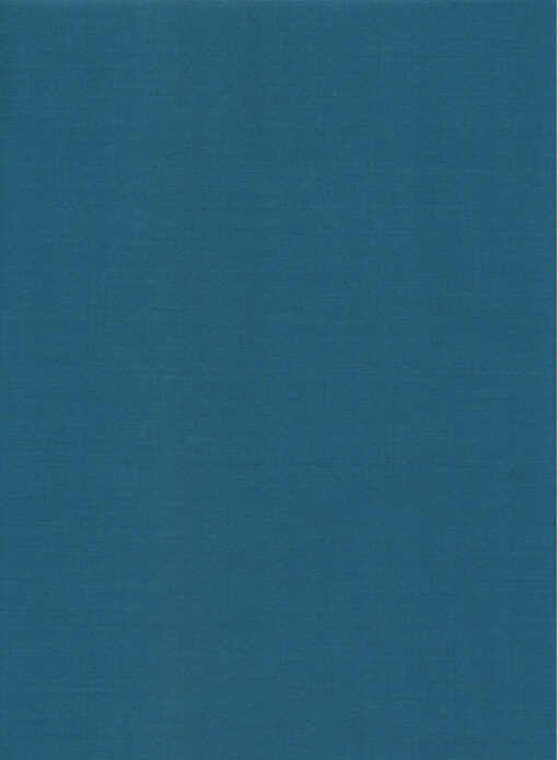 EMEF Men's Terry Rayon Solids 3.75 Meter Unstitched Suiting Fabric (Caribbean Blue)