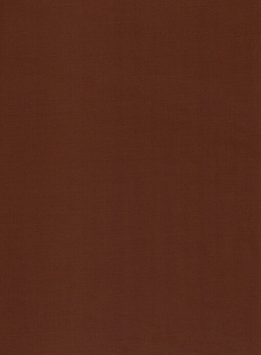 EMEF Men's Terry Rayon Solids 3.75 Meter Unstitched Suiting Fabric (Cinmon Brown)