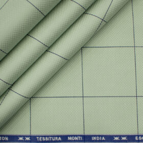 Tessitura Monti Men's Giza Cotton Checks 2 Meter Unstitched Shirting Fabric (Light Green & Blue)