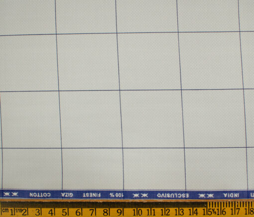 Tessitura Monti Men's Giza Cotton Checks 2 Meter Unstitched Shirting Fabric (Light Grey & Blue)