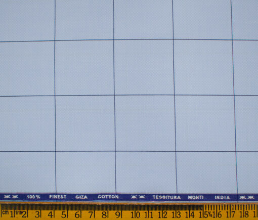 Tessitura Monti Men's Giza Cotton Checks 2 Meter Unstitched Shirting Fabric (Sky Blue)