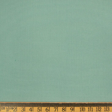 Italian Channel Men's Terry Rayon Structured 3.75 Meter Unstitched Suiting Fabric (Mint Green)