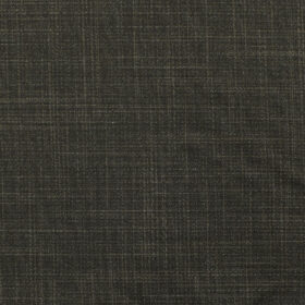 Raymond Men's Polyester Viscose Self Design 3.75 Meter Unstitched Suiting Fabric (Dark Brown)