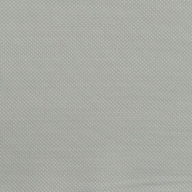 Don & Julio Men's Terry Rayon Structured 3.75 Meter Unstitched Suiting Fabric (Light Silver Grey)