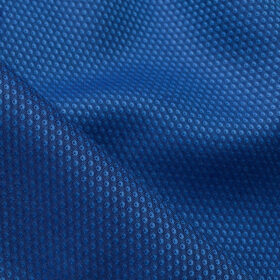 Arvind Men's Giza Cotton Structured 2.25 Meter Unstitched Shirting Fabric (Royal Blue)