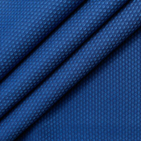 Arvind Men's Giza Cotton Structured 2.25 Meter Unstitched Shirting Fabric (Royal Blue)