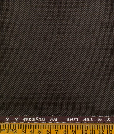 Raymond Men's Polyester Viscose Checks  Unstitched Suiting Fabric (Brown)