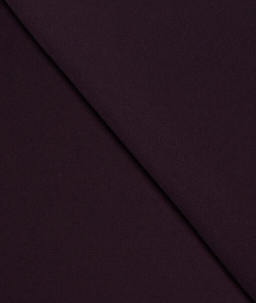 Italian Channel Men's Terry Rayon Solids  Unstitched Flowy Japanese 4 Way Stretchable Lachka Armani Suiting Fabric (Dark Purple) - Image 3