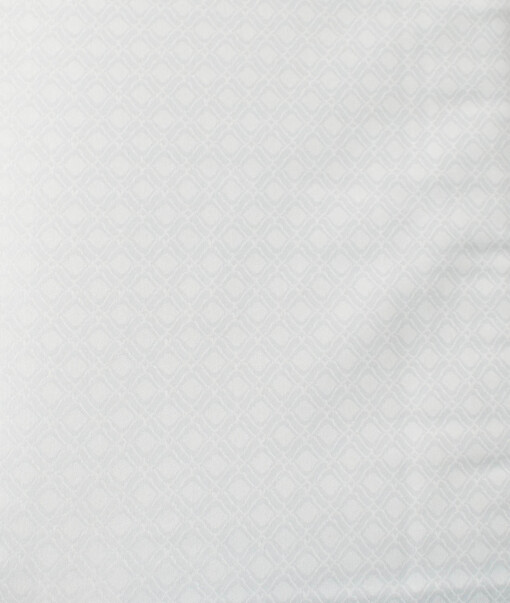 Nemesis Men's Bamboo Wrinkle Resistant Cotton Self Design 2.25 Meter Unstitched Shirting Fabric (White)