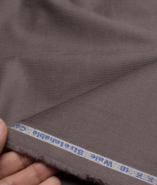Arvind Tresca  Corduroy Cotton 18 Wales Stretchable Suiting Fabric (Light Grey)