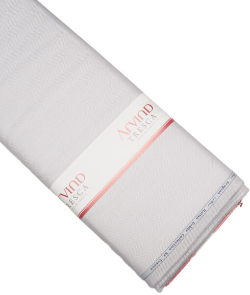 Tresca by Arvind  Cotton Striped Shirting Fabric (Light Grey)