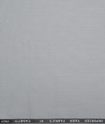 Canetti Italy  Structured Terry Rayon Unstitched Suiting Fabric (Silver Grey)