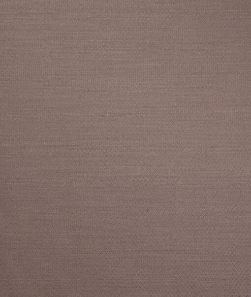 Don & Julio  Stuctured Terry Rayon Unstitched Suiting Fabric (Cinerous Brown)