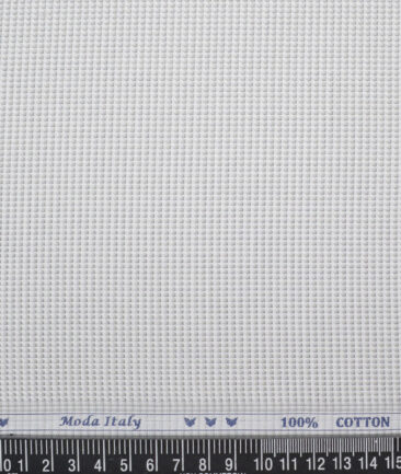 Monza  Giza Cotton Structured Shirting Fabric (White & Grey)