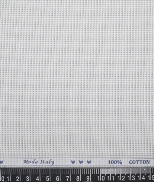 Monza  Giza Cotton Structured Shirting Fabric (White & Grey)