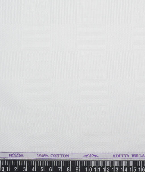 Soktas  Giza Cotton Self Design Shirting Fabric (White)