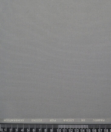 J.Hampstead  Structured Polyester Viscose Stretchable Suiting Fabric (Light Grey)
