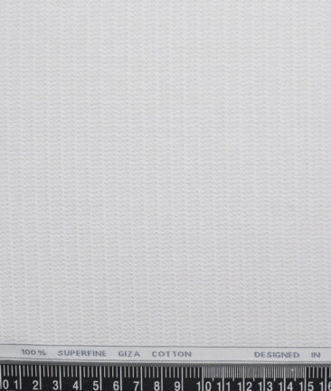 Tessitura Monti  Giza Cotton Structured Shirting Fabric (Light Grey)