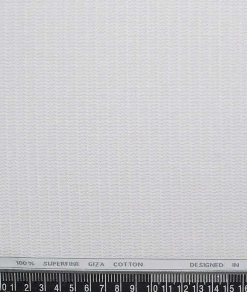 Tessitura Monti  Giza Cotton Structured Shirting Fabric (Light Grey)