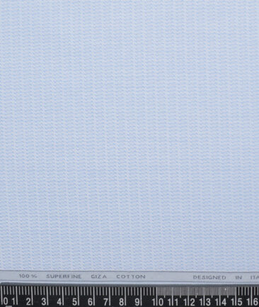 Tessitura Monti  Giza Cotton Structured Shirting Fabric (Sky Blue)