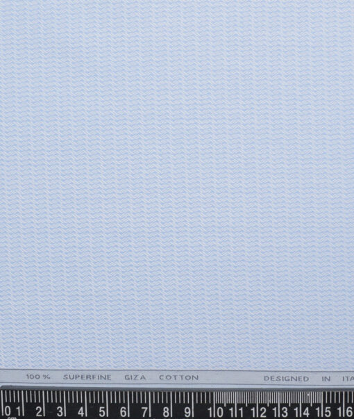 Tessitura Monti  Giza Cotton Structured Shirting Fabric (Sky Blue)