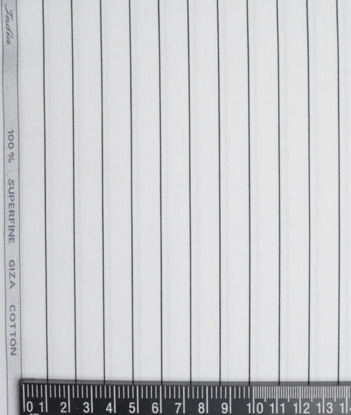 Tessitura Monti 2 Ply 70's Giza Cotton Striped Shirting Fabric (White & Black)