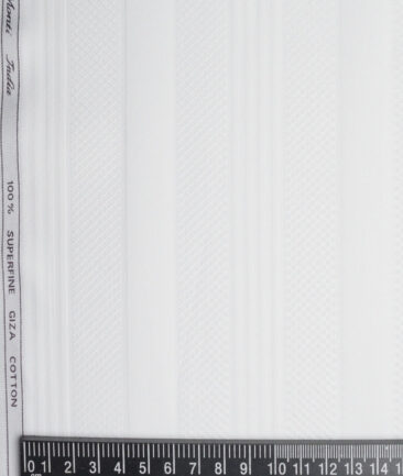 Tessitura Monti 2 Ply 80's Giza Cotton Striped Shirting Fabric (White)