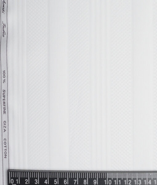 Tessitura Monti 2 Ply 80's Giza Cotton Striped Shirting Fabric (White)