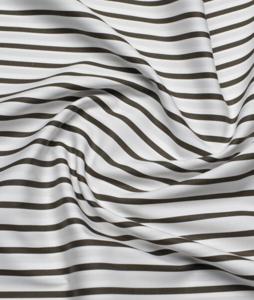 Tessitura Monti 2 Ply 120's Giza Cotton Striped Shirting Fabric (White & Black)