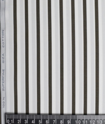 Tessitura Monti 2 Ply 120's Giza Cotton Striped Shirting Fabric (White & Black)