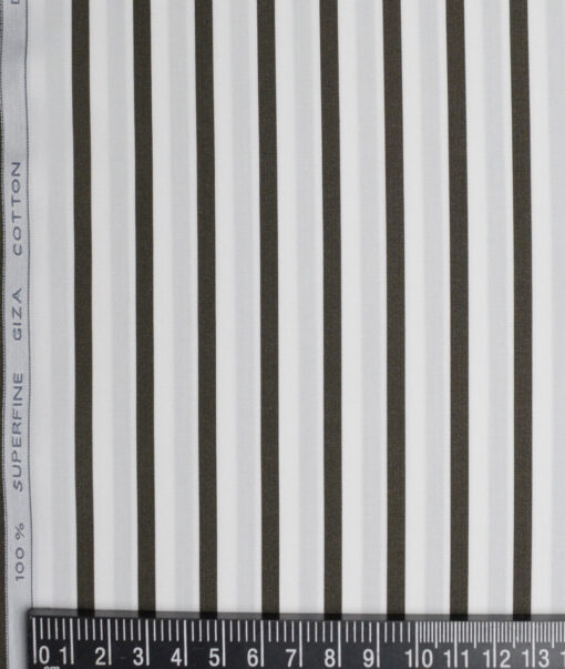 Tessitura Monti 2 Ply 120's Giza Cotton Striped Shirting Fabric (White & Black)